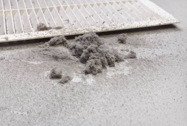 Best HVAC Maintenance and Cleaning  in Debary, FL