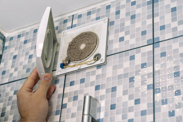 Best Air Duct Sanitizing Services  in Debary, FL